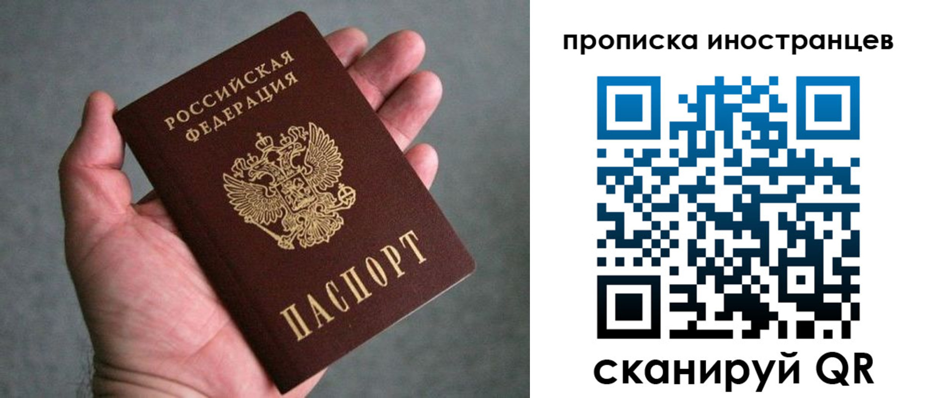 пропишу в квартире в Видном